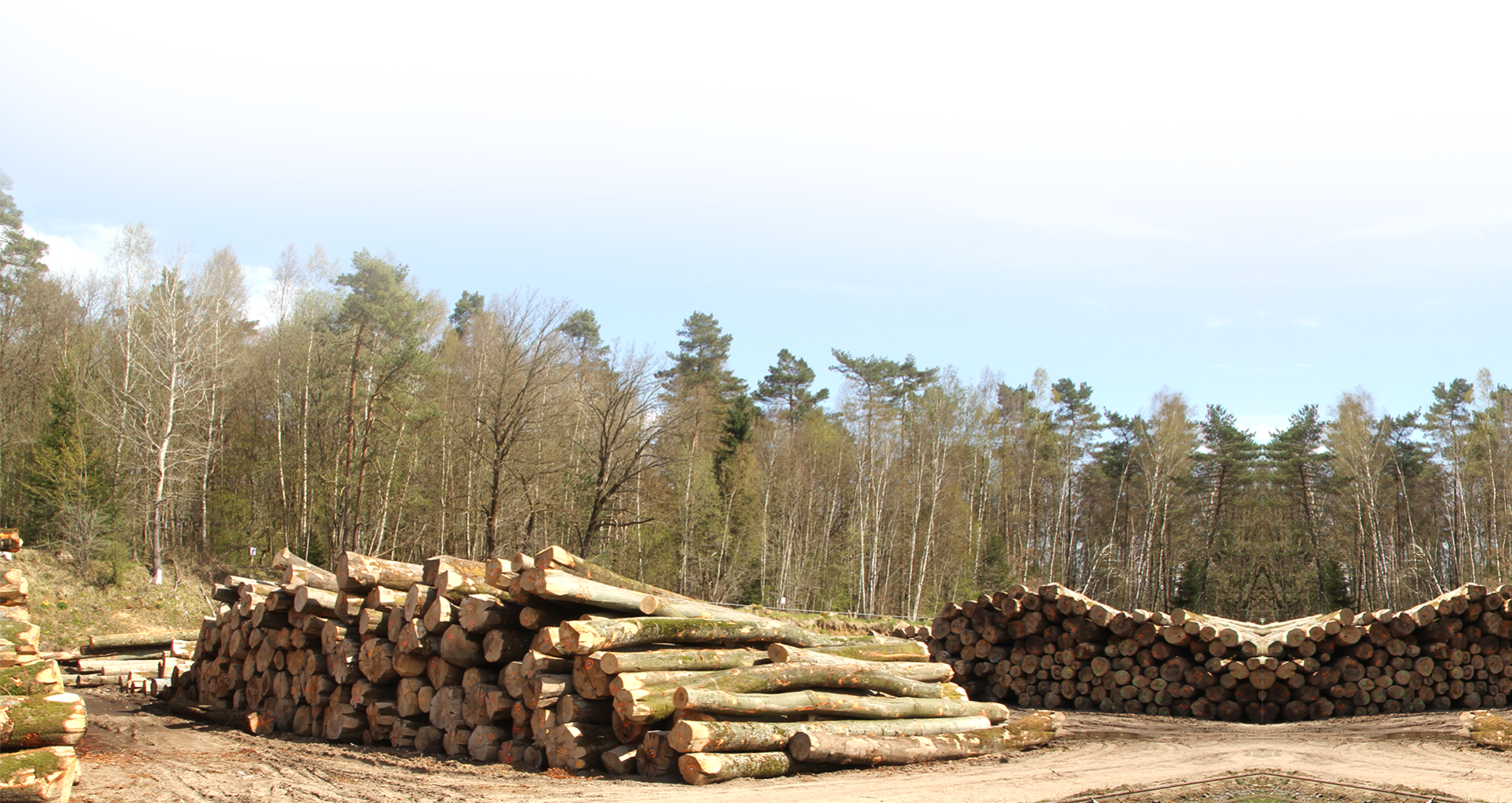 wood_industry Imax PRO